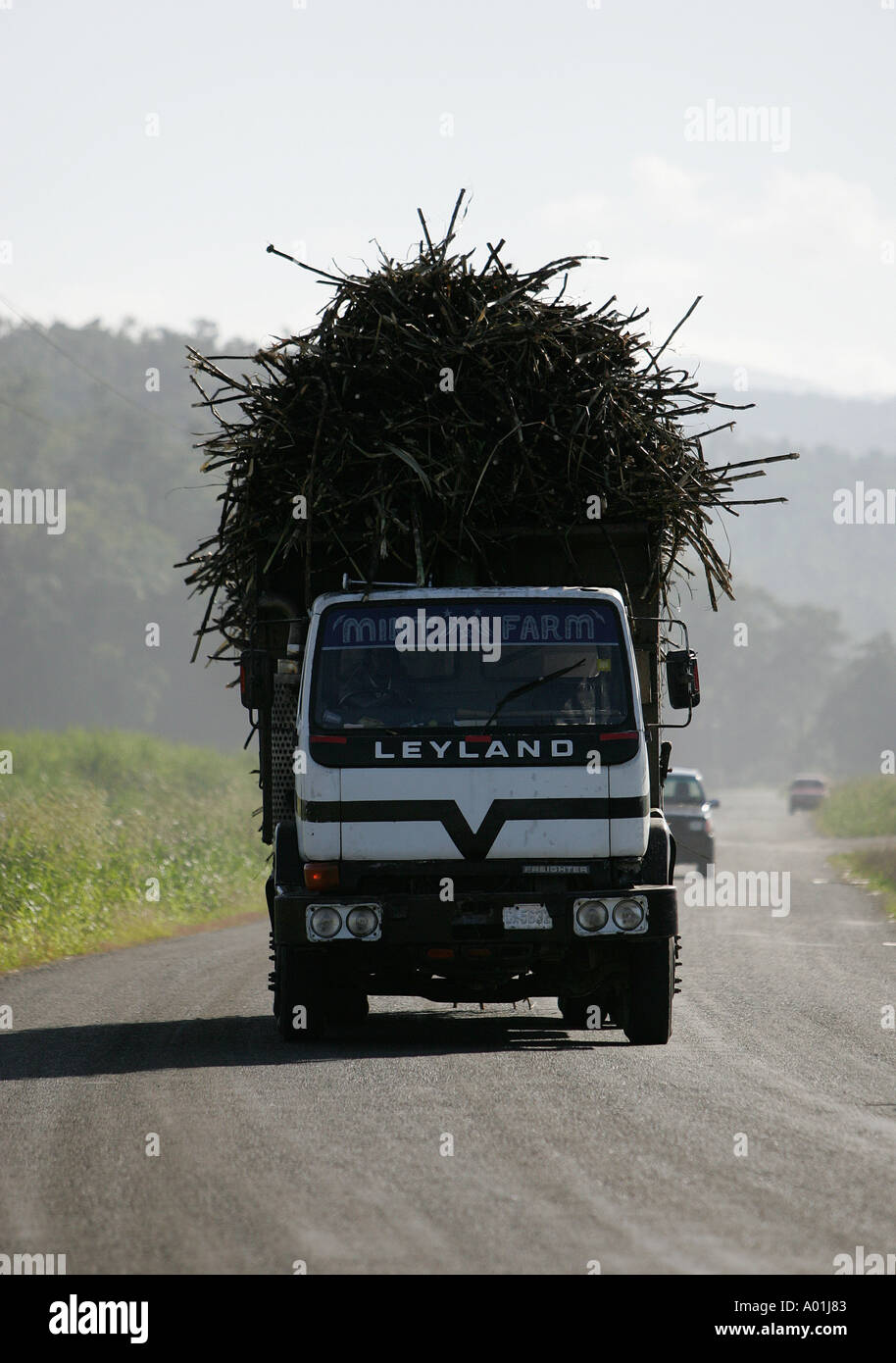 Truck hauling harvested sugarcane, Jamaica Stock Photo Alamy