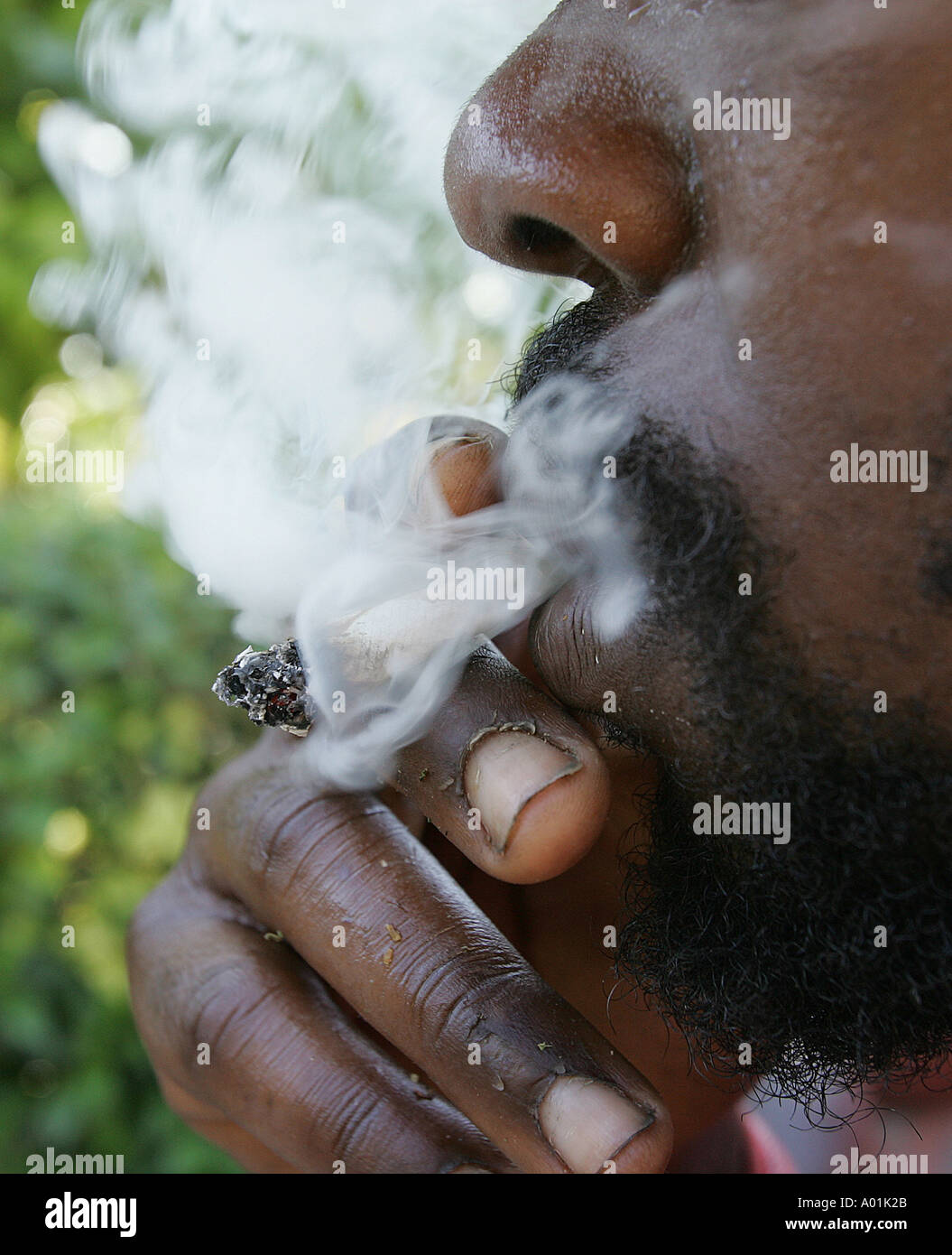 jamaica vap smoke Before the vape crisis floats in main image 1