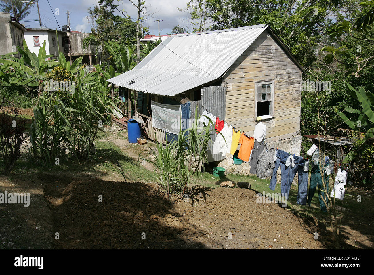House with a tin roof, Jamaica Stock Photo 3215421 Alamy