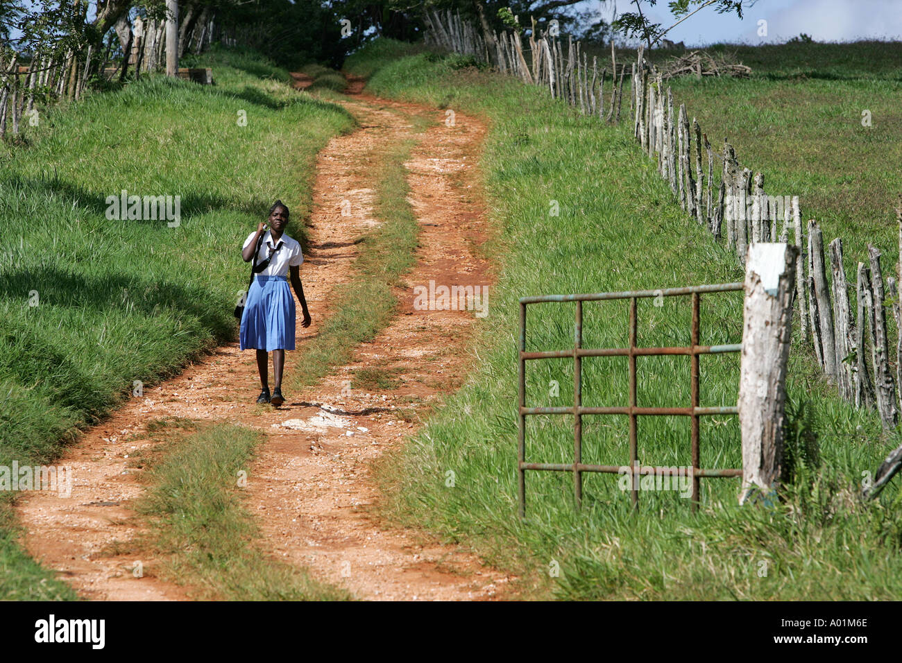 A school girl in uniform walking on a country road, Jamaica Stock Photo