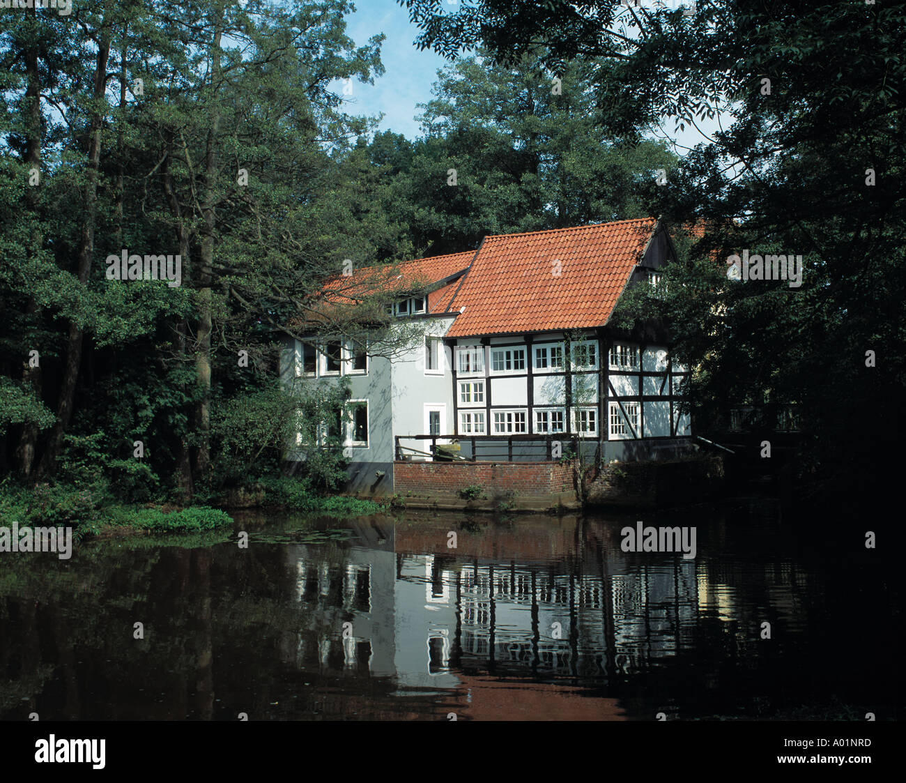 Fachwerkhaus, Wassermuehle in einer Waldlandschaft, Vechta, Oldenburger Muensterland, Niedersachsen Stock Photo