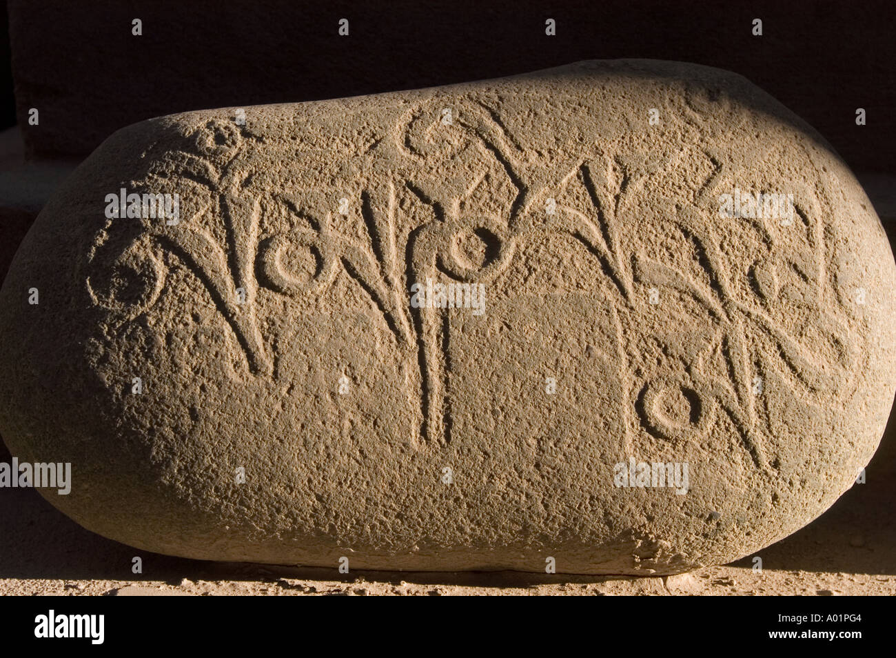 A side-lit mani stone featuring ancient carved inscriptions against a dark background in Leh town, Ladakh, India. Stock Photo