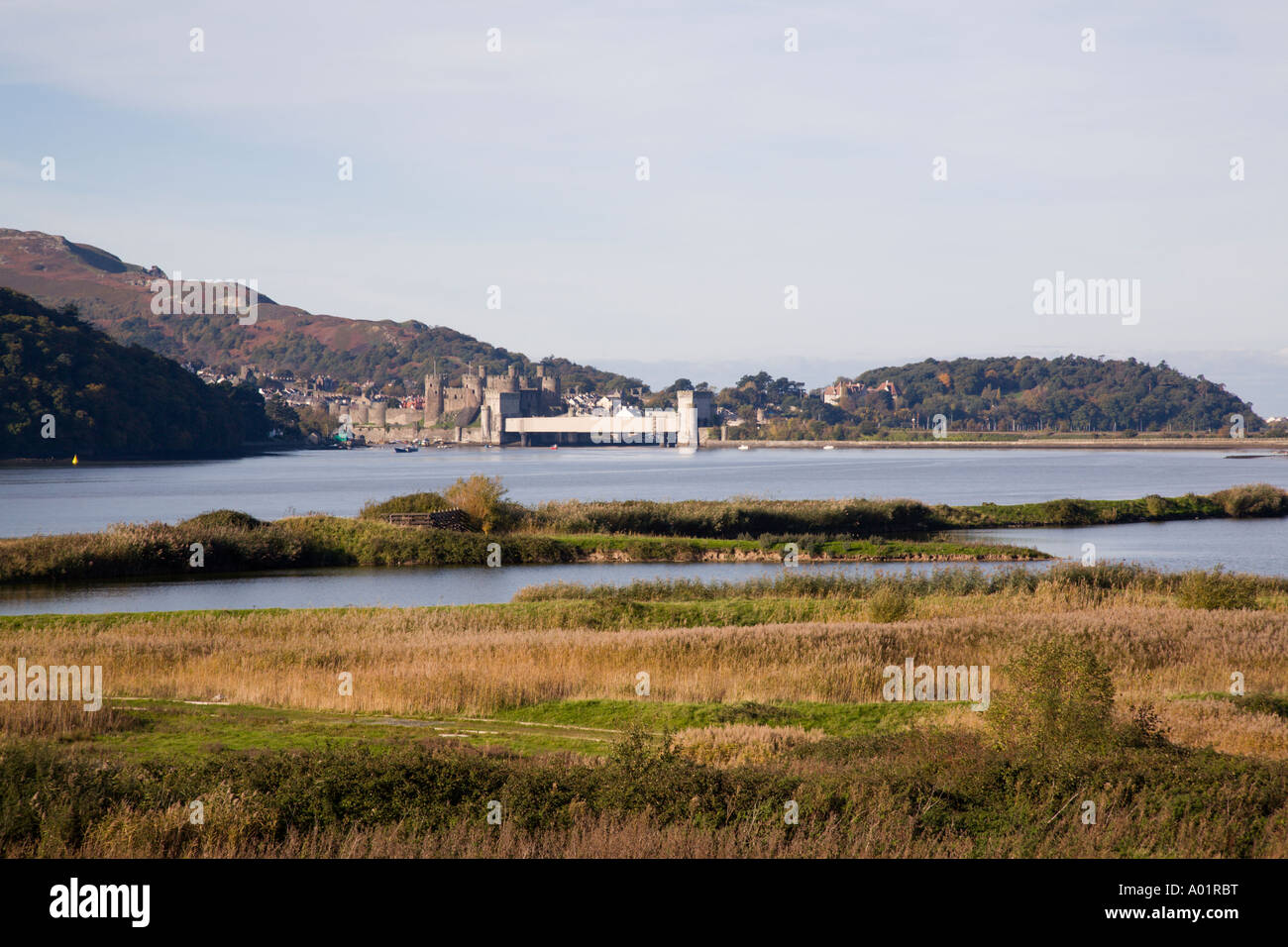 Conwy RSPB Reserve coastal lagoons and grassland habitat beside Conwy River estuary  Llansanffraid Conwy North Wales Stock Photo