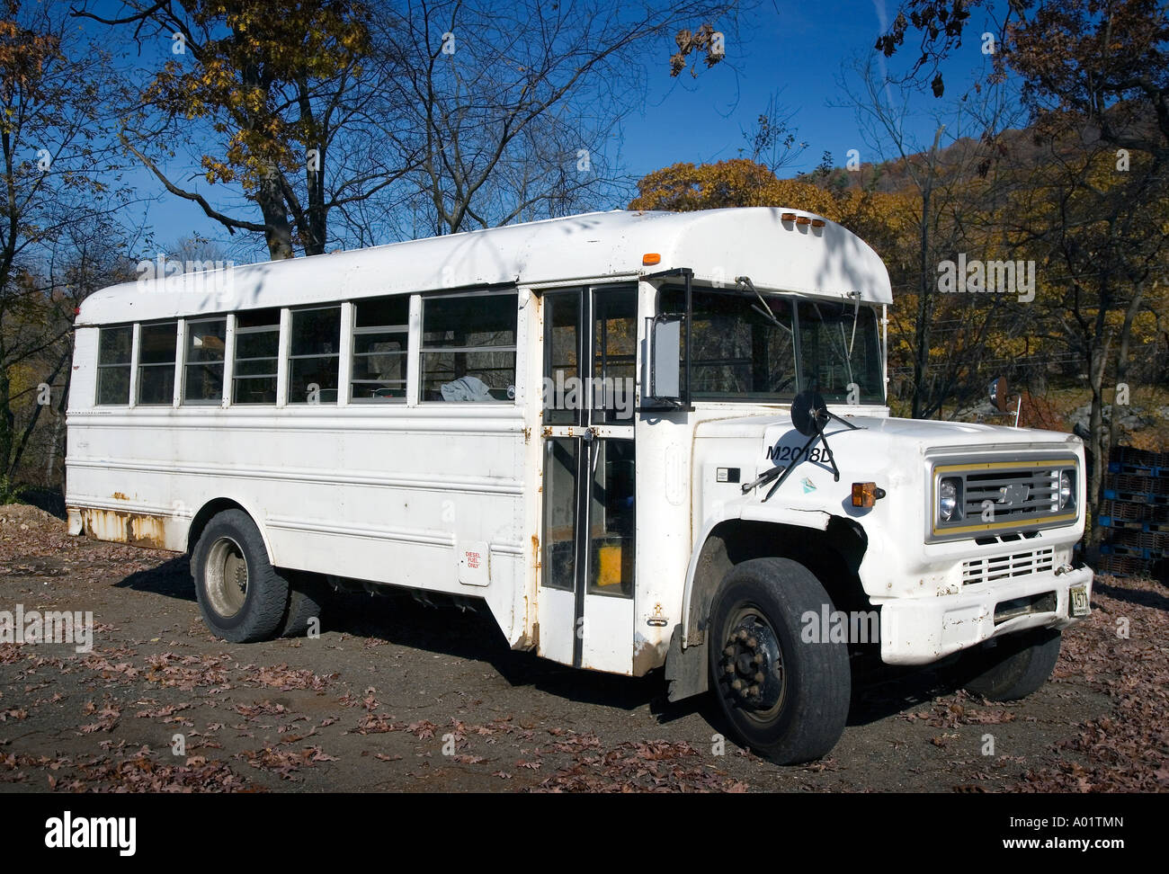 Old school bus on the side of a road Stock Photo Alamy