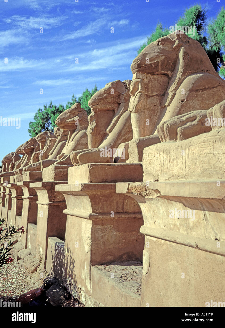 Alley of the Rams Luxor Carnac Temple Egypt Stock Photo