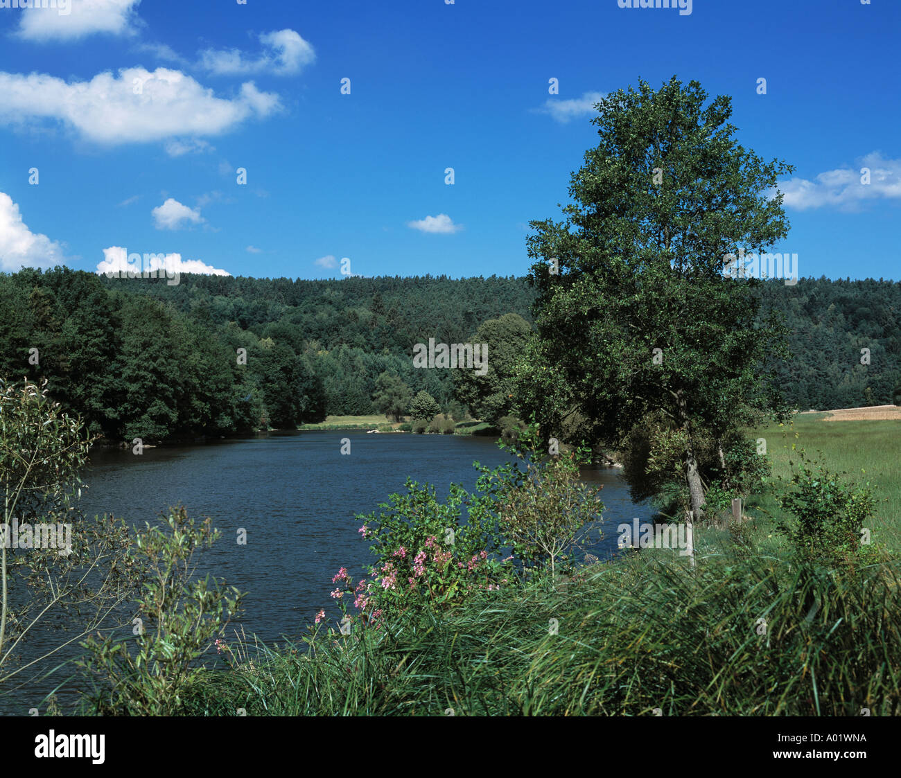 Regenlandschaft, idyllische Flusslandschaft, Flussidylle, bewaldetes Flussufer, Roding-Regenpeilnstein, Naturpark Oberer Bayerischer Wald, Oberpfalz, Stock Photo