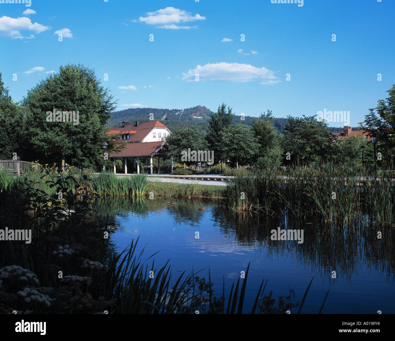 Kurpark, Haus der Kurverwaltung, kleiner Teich, Biotop, Bodenmais, Naturpark Bayerischer Wald, Niederbayern Stock Photo