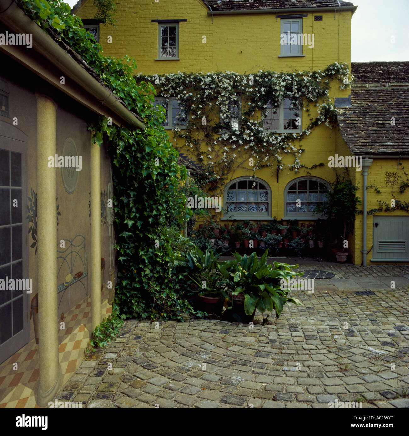 Cobbled courtyard with yellow washed walls with clematis and bird s foot ivy Stock Photo