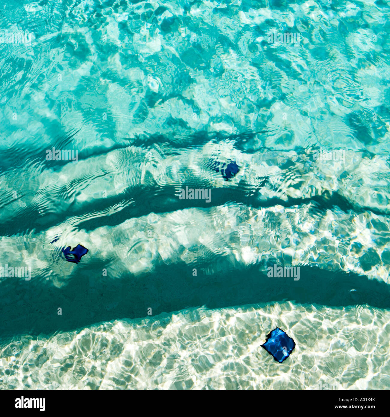 Blue water at the edge of a swimming pool Stock Photo