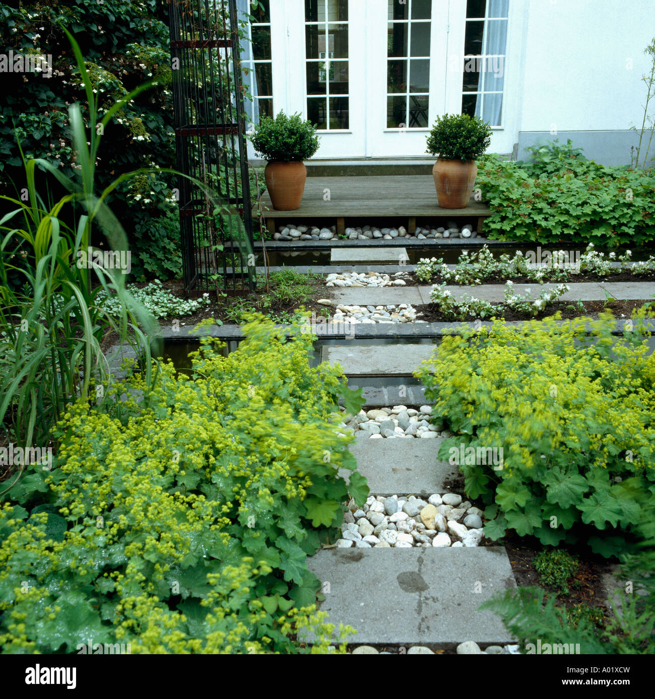 Block And Peeble Path To Decking Outside French Windows Small Beds With Lady S Mantle Tall Grasses And A Climbing Hydrangea Stock Photo Alamy