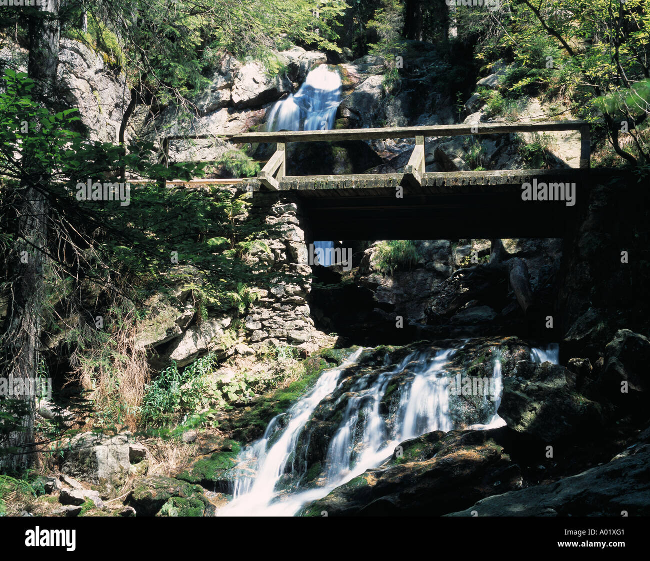 Risslochwasserfall, Wasserfaelle, Wildbach, Holzbruecke, Holzsteg, Bodenmais, Naturpark Bayerischer Wald, Niederbayern Stock Photo
