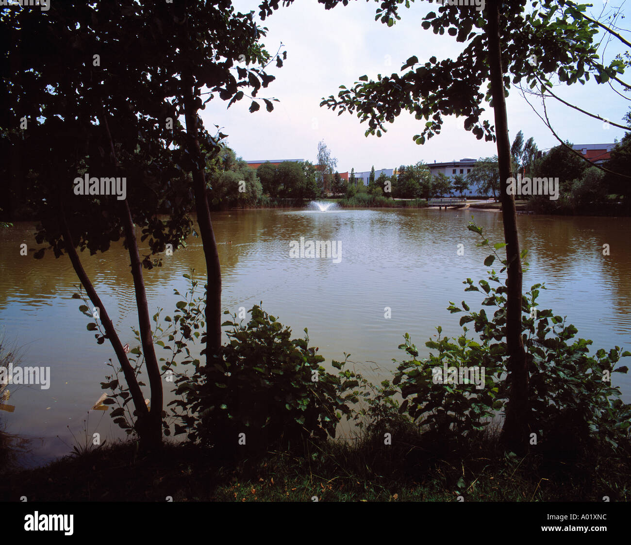 Teichlandschaft im Kurpark, kleiner Teich, Baeume am See, Schattenriss
