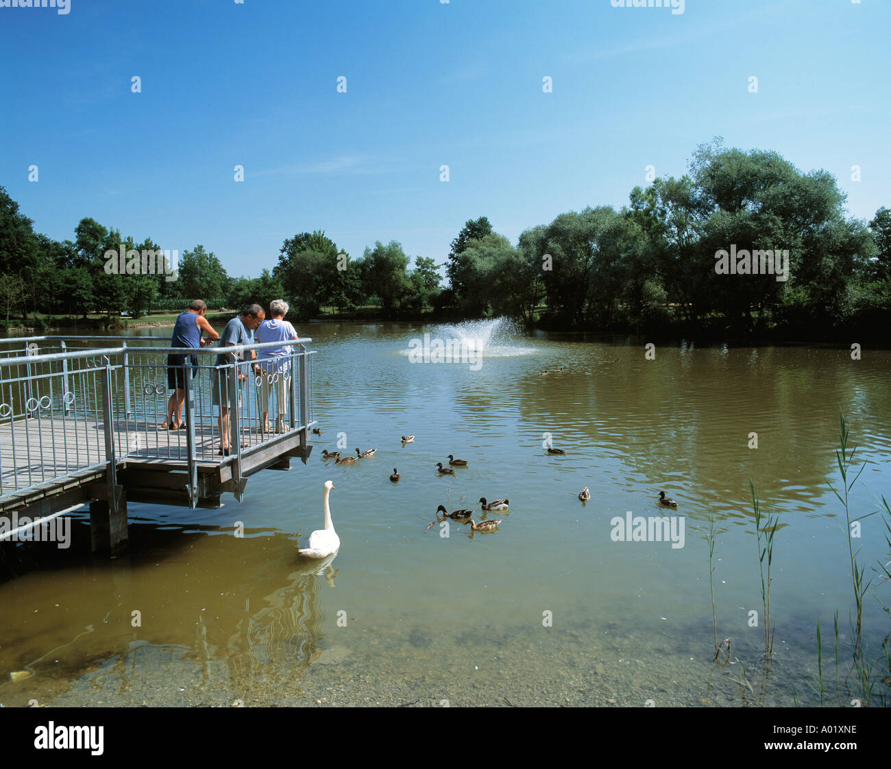 Teichlandschaft im Kurpark, kleiner Teich, Menschen stehen auf einem