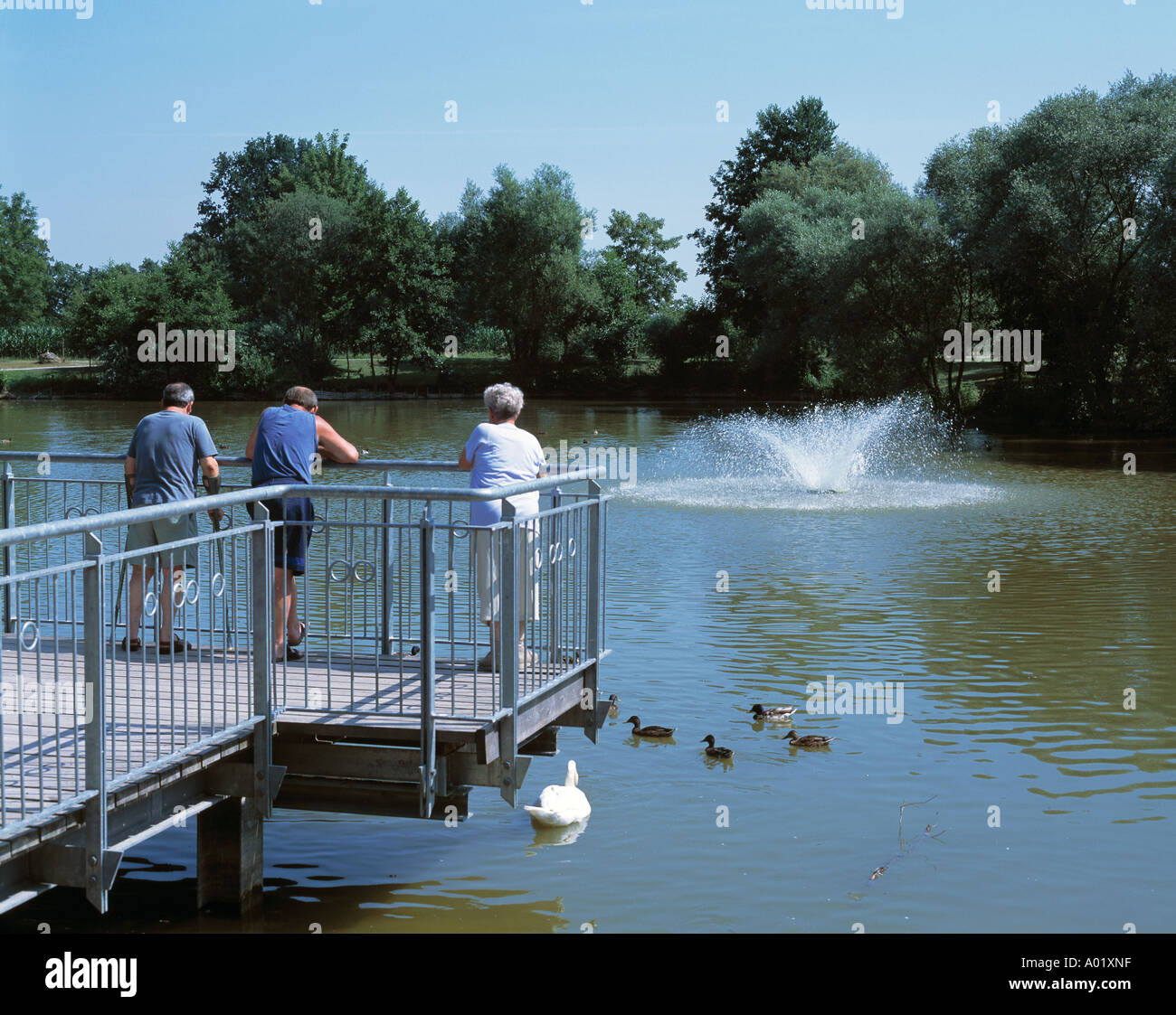 Enten und familie hires stock photography and images Alamy