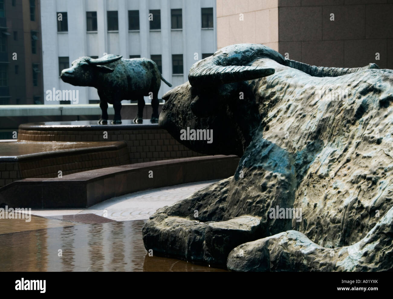 Asia asian hong kong stock exchange bull sculpture finance hong kong