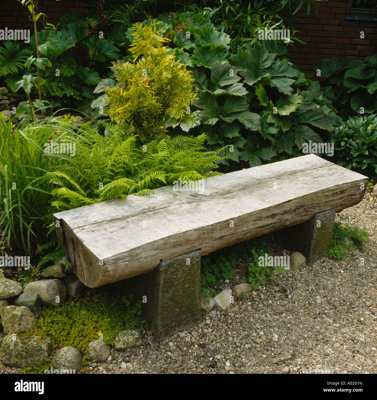 Recycled Wooden Garden Bench In Front Of Ferns And Gunnera Stock