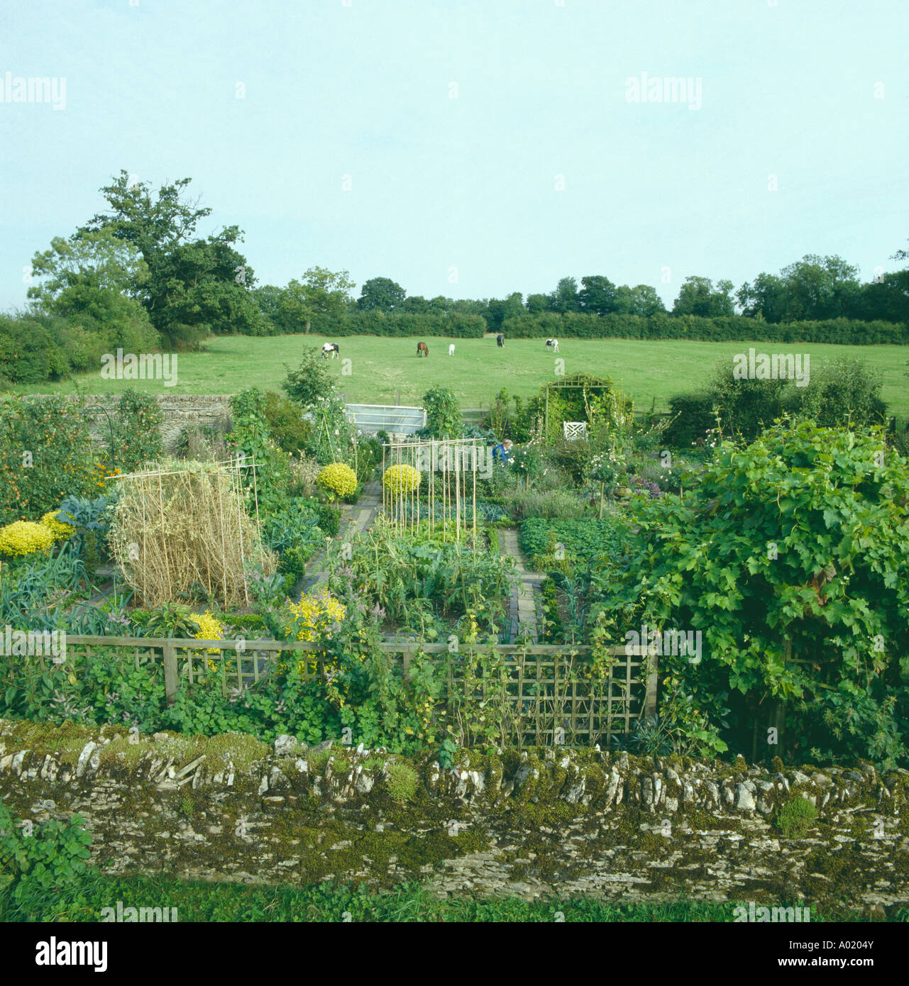 Mossy wall in front of potager garden at Barnsley House with view of fields Stock Photo