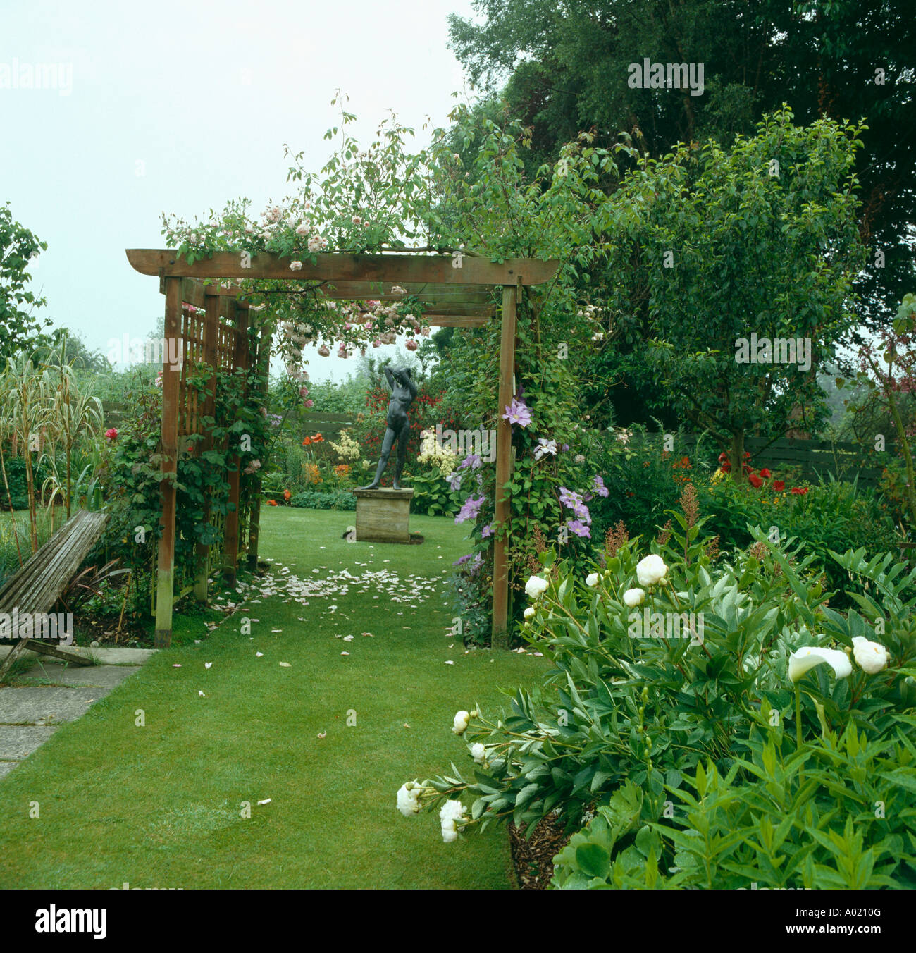 White peonies beside grass path through wooden pergola with pink climbing rose in country garden with statue on plinth Stock Photo