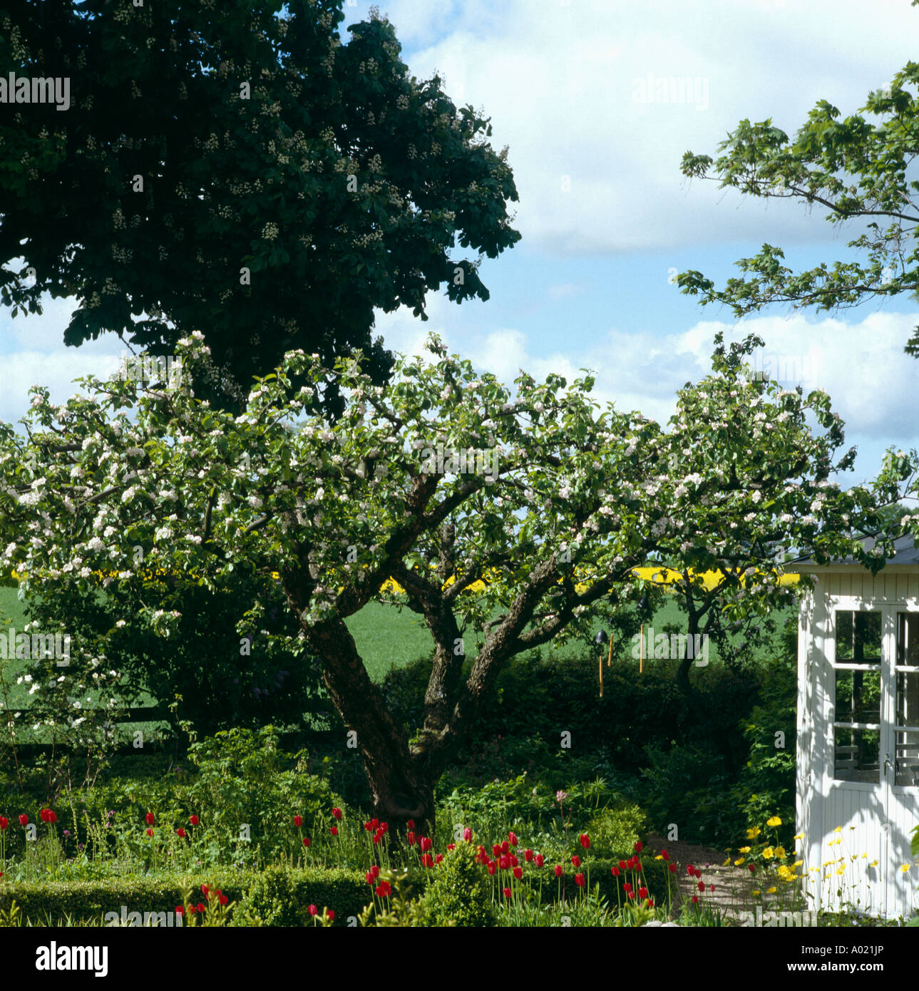 Planted under apple tree hires stock photography and images Alamy