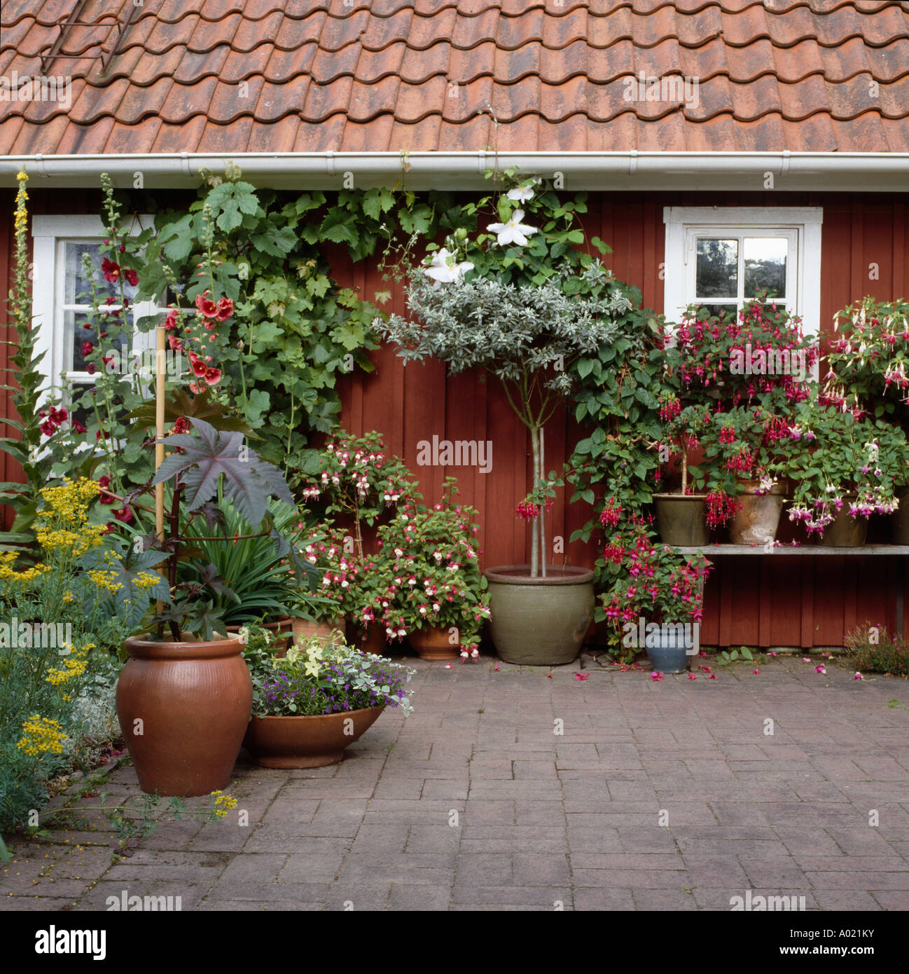 Colourful flowering plants growing in hanging-baskets and pots outside  small house Stock Photo - Alamy