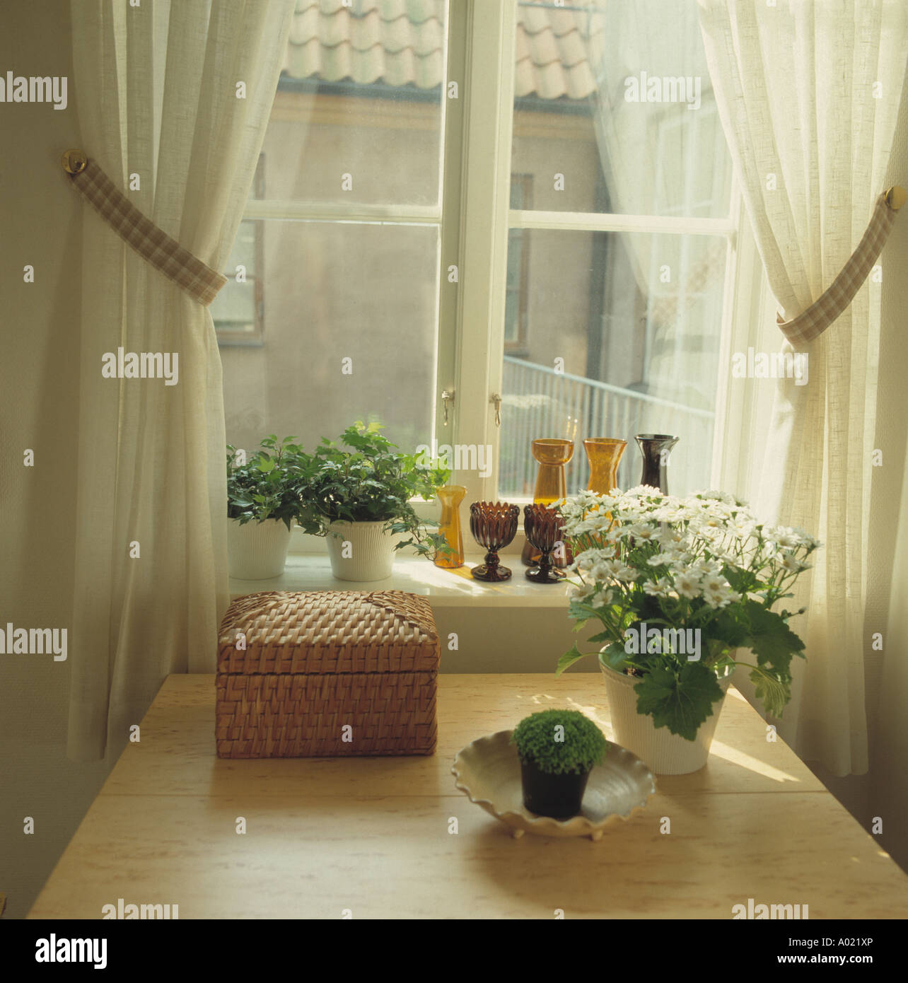 Small wooden box with green and flowering houseplants on table in front of  window with white curtains Stock Photo - Alamy