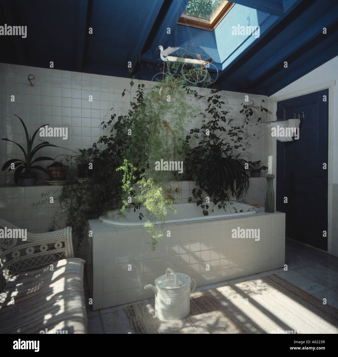 Houseplants In Small White Bathroom With Blue Ceiling Stock