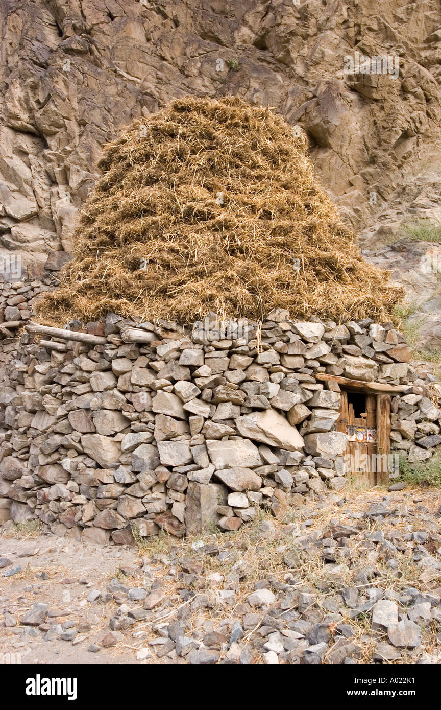 Method of drying grass in Dha Hanu village site of Dard or Brokpa tribe ...