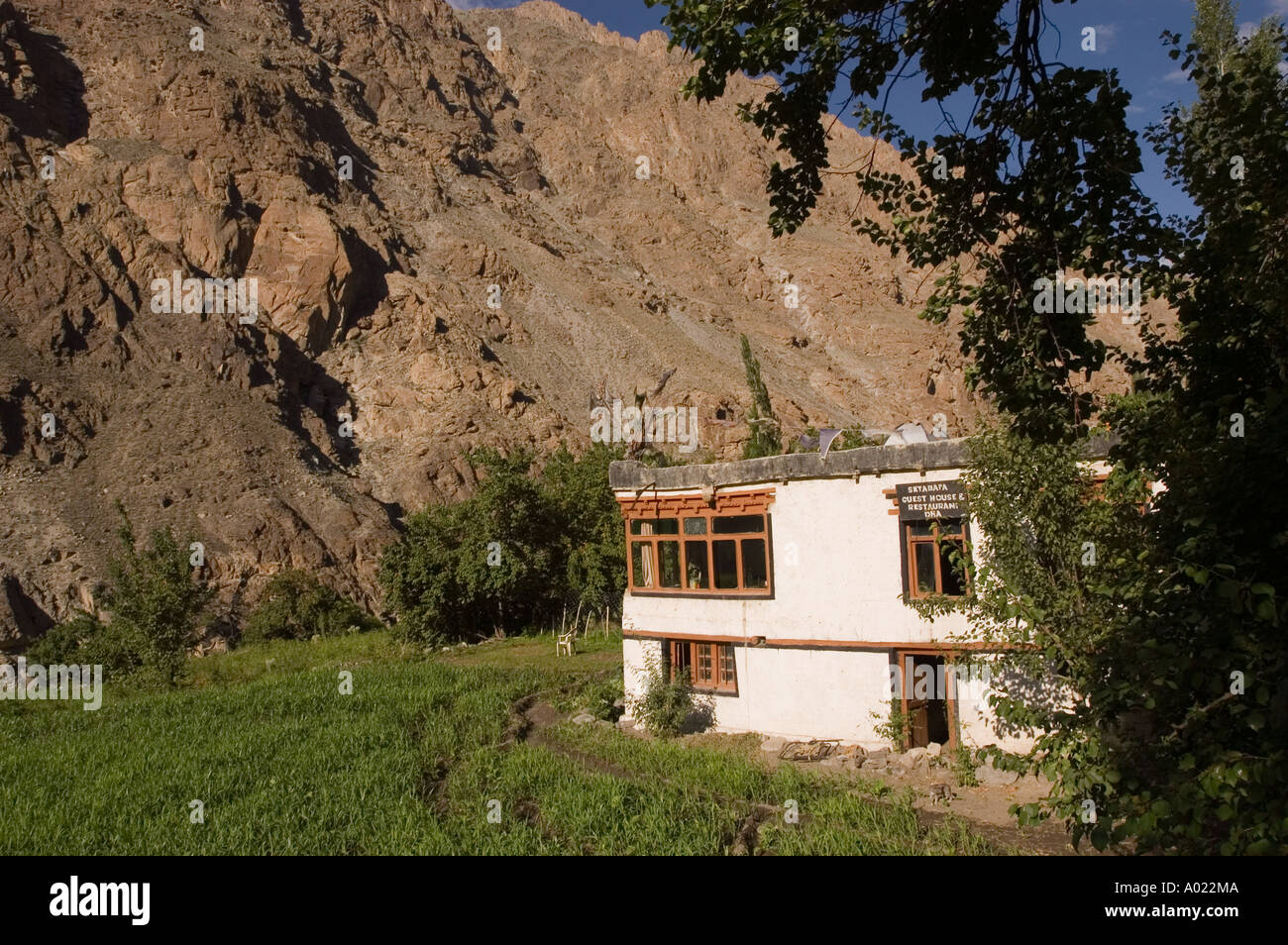 Beautiful guest house with green barley fields in Dha Hanu village site ...
