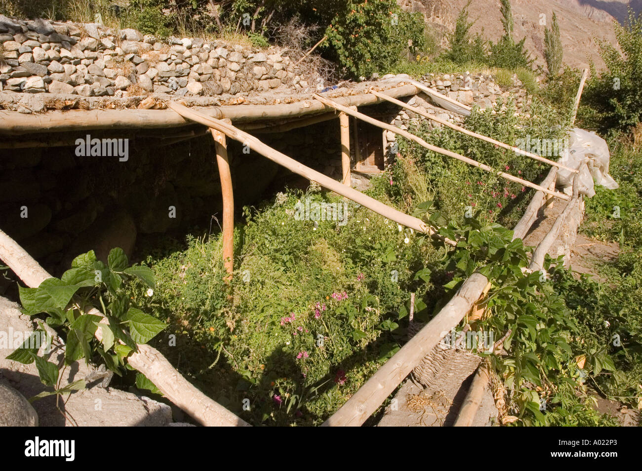Open greenhouse for planting vegetables in Dha Hanu village Ladakh Kashmir India Stock Photo