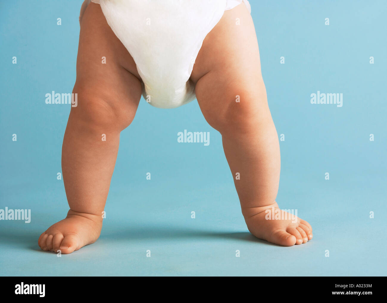 Baby legs with nappy Stock Photo 9854359 Alamy
