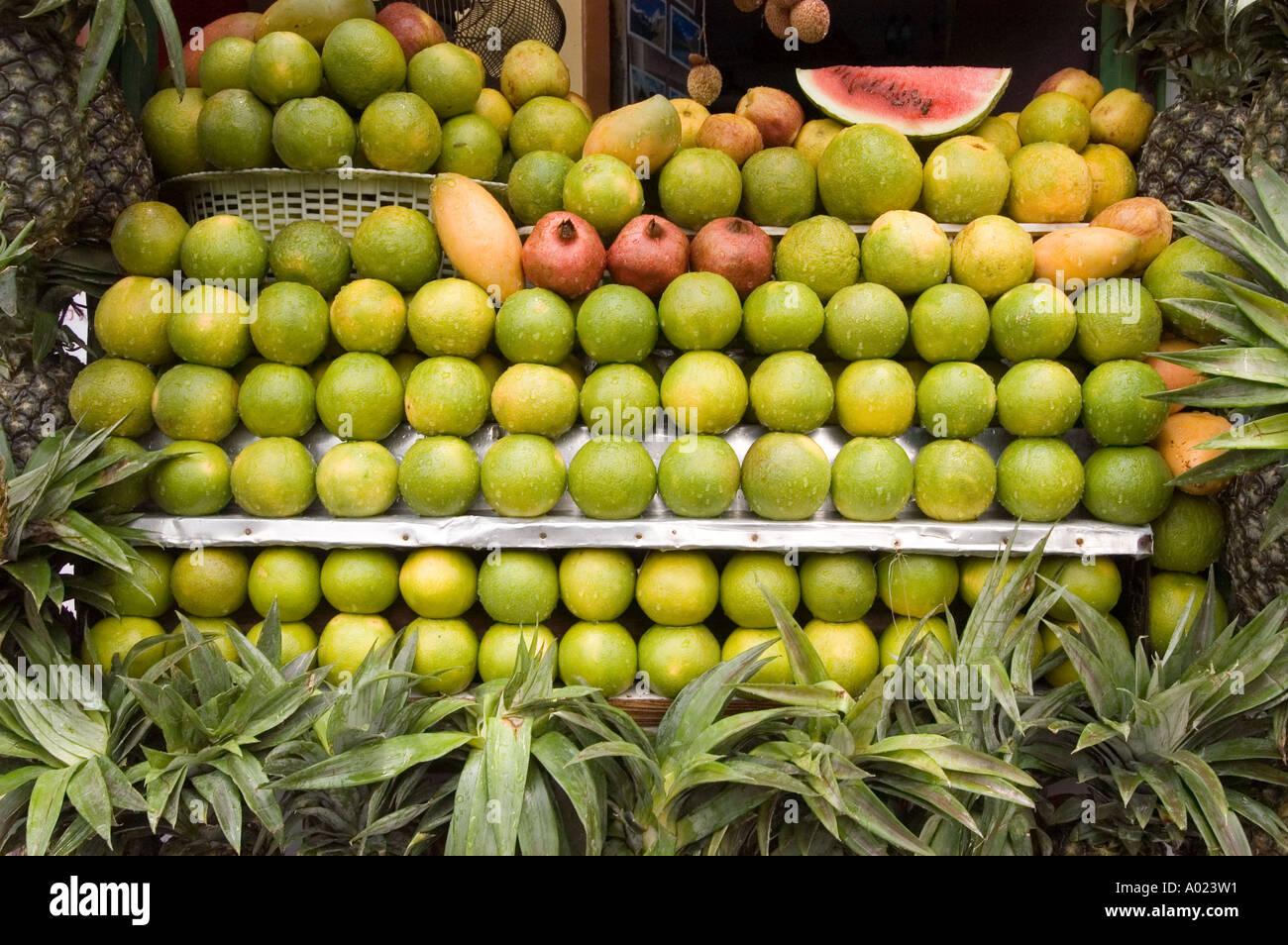 Vegetable market in Manali Himachal Pradesh India Stock Photo Alamy