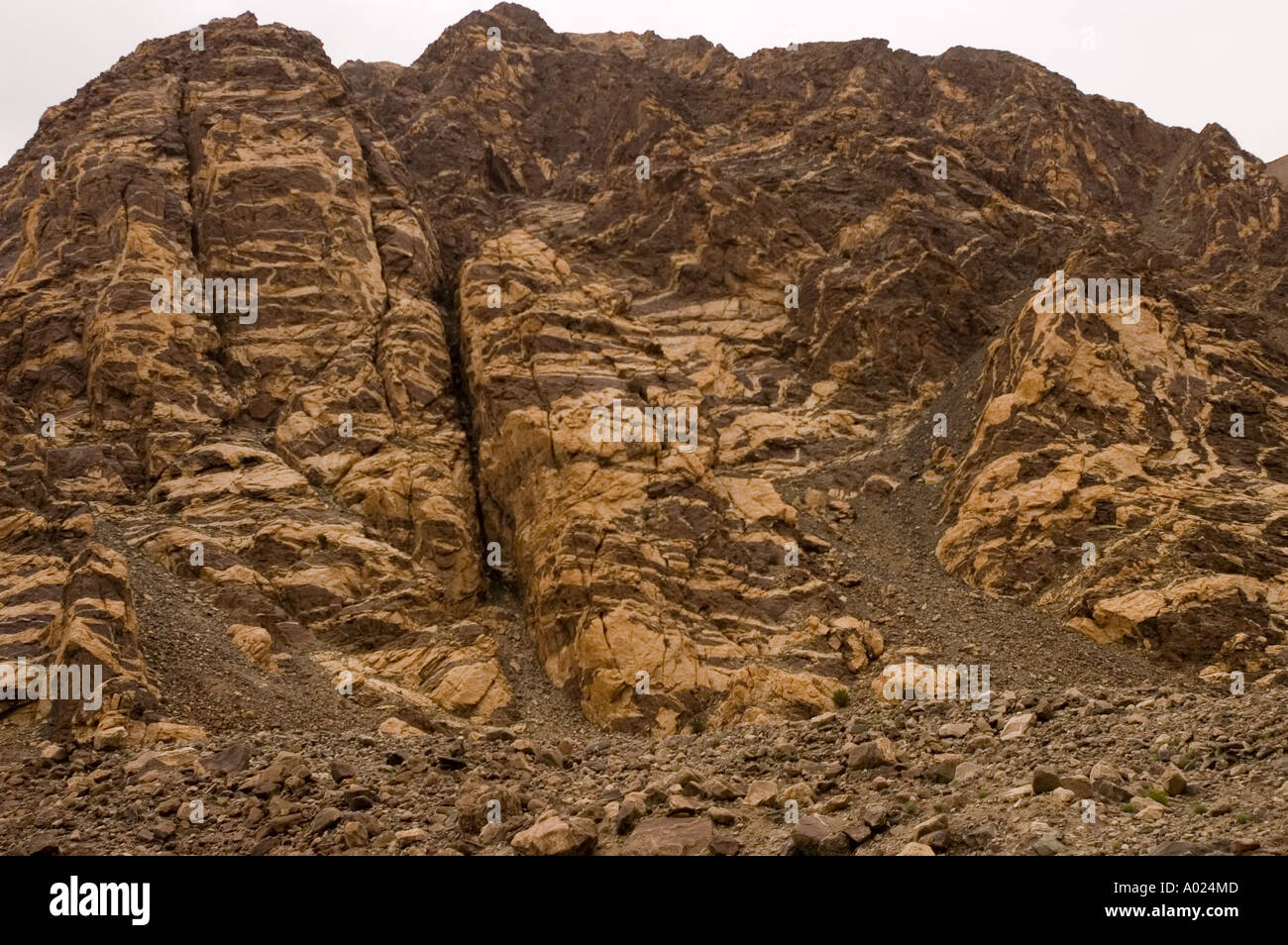 A closer look at Its Rugged Texture