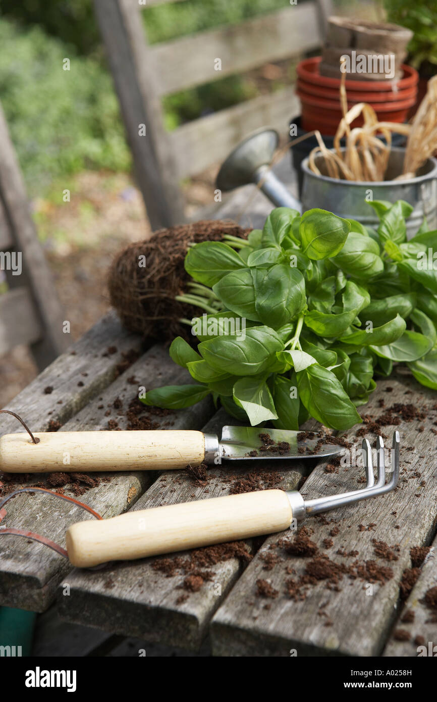 Gardening tools potting soil hi-res stock photography and images - Alamy