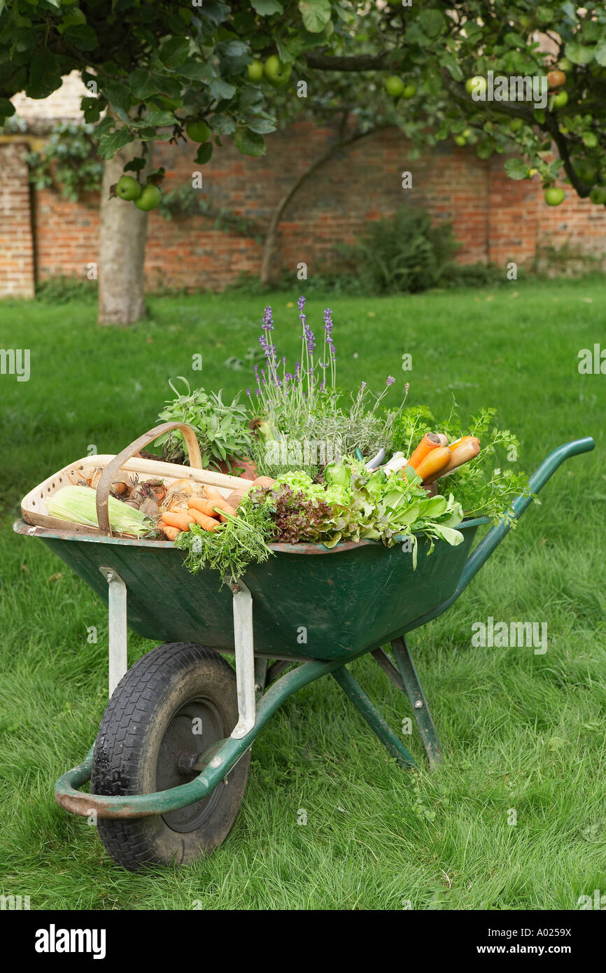 Wheelbarrow Full of Vegetables Stock Photo