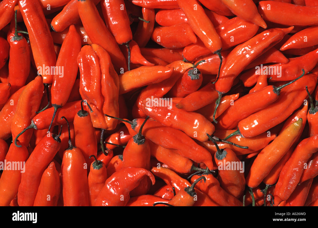 Orange coloured chilli peppers for sale at market in Peru Stock Photo