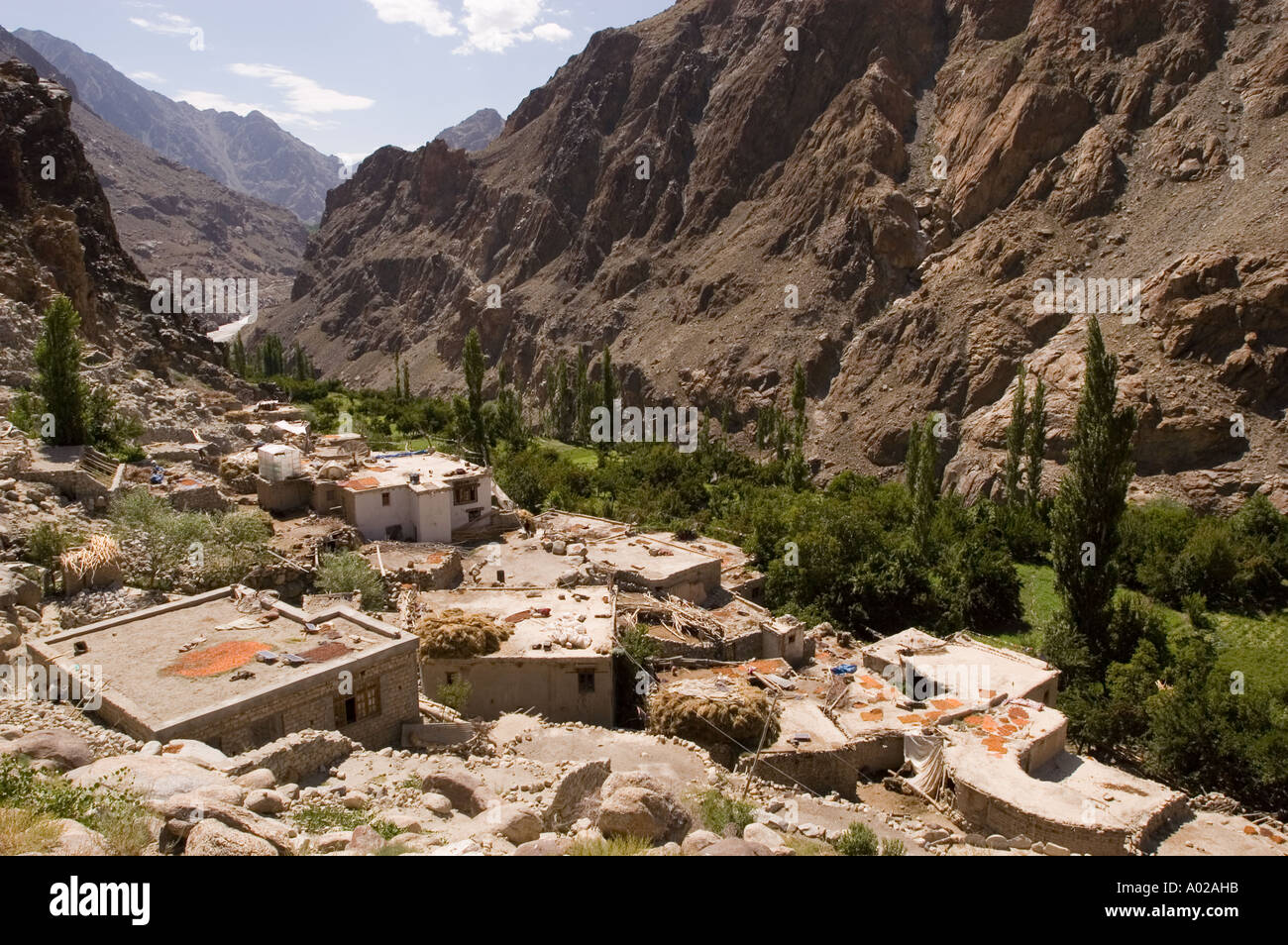 A roofs of traditional Ladakhi houses with yellow drying apricots and