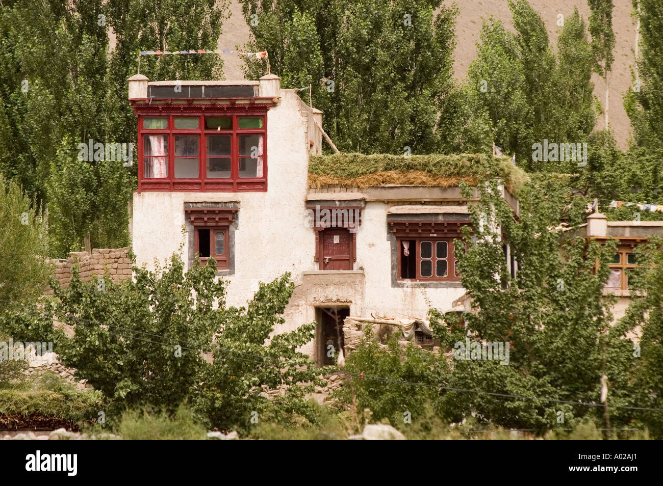 Facade of traditional style Ladakhi house with green grass drying on