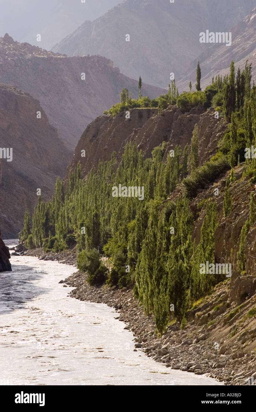 White water of Indus river with green poplar trees of Dha Hanu village ...