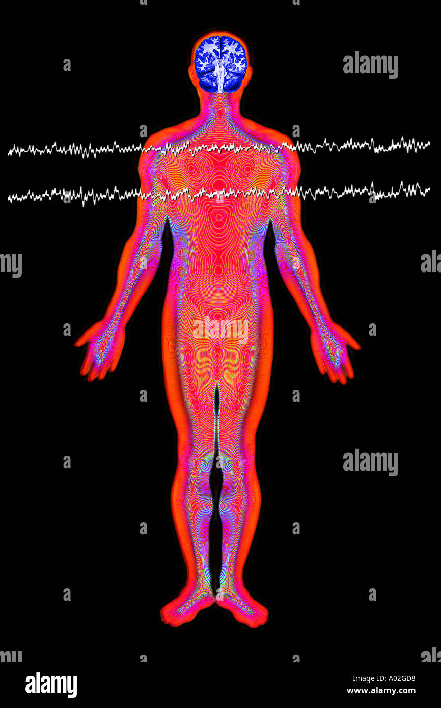 Illustration of human body and brain scan Stock Photo