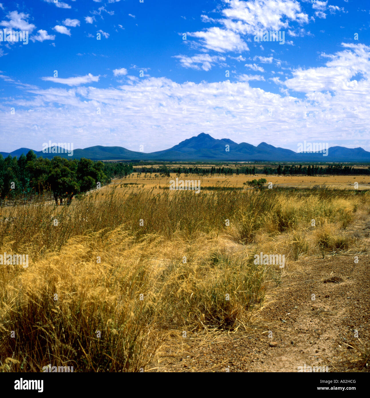 Stirling ranges hires stock photography and images Alamy