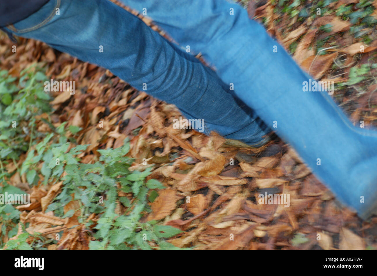woman walking through autumn leaves Stock Photo - Alamy