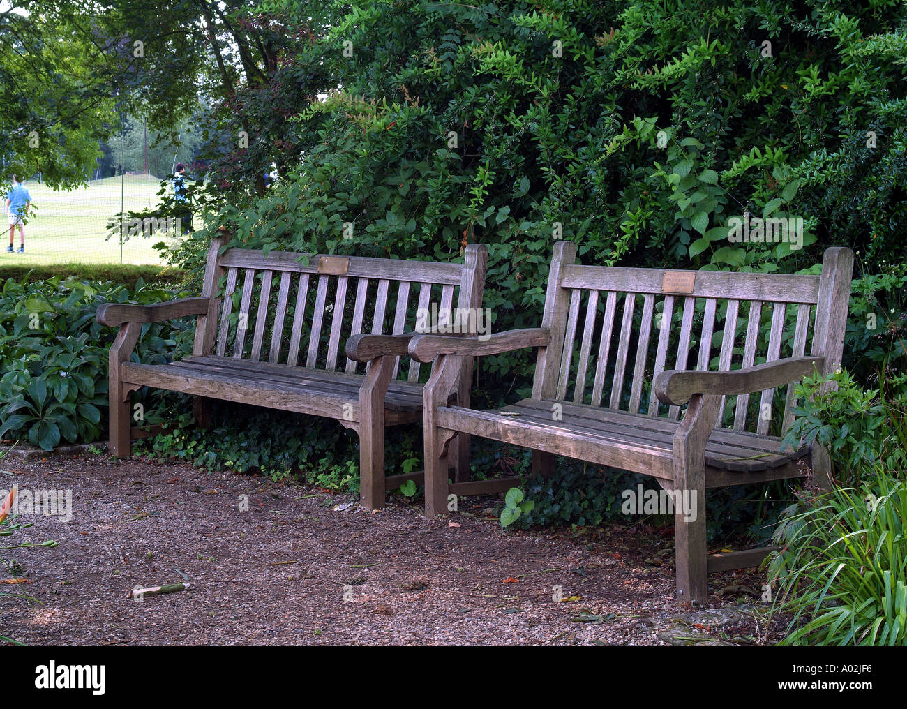 Benches In The Botanic Garden Oxford Stock Photo 3218165 Alamy