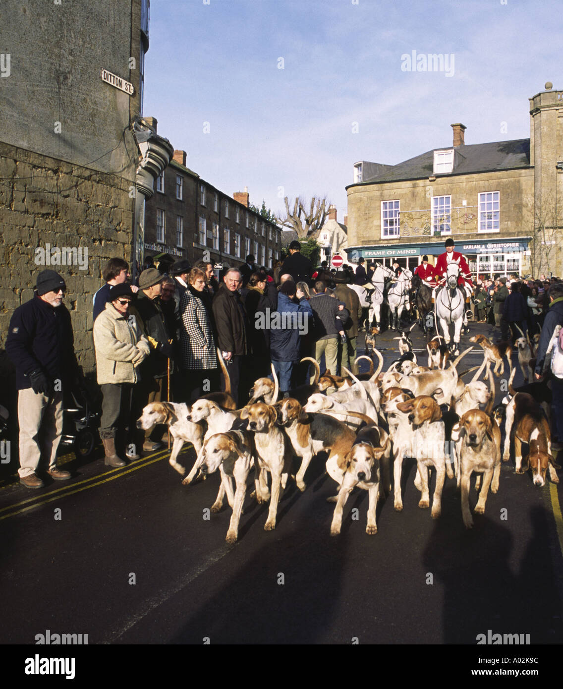 Foxhounds on Boxing Day in the market town of Ilminster Somerset Stock Photo