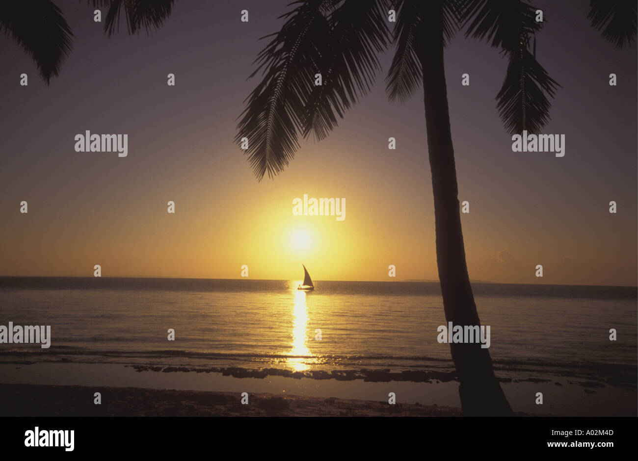 Setting sun and sailing boat framed by palm tree in the Bazaruto Archipelago Mozambique Stock Photo