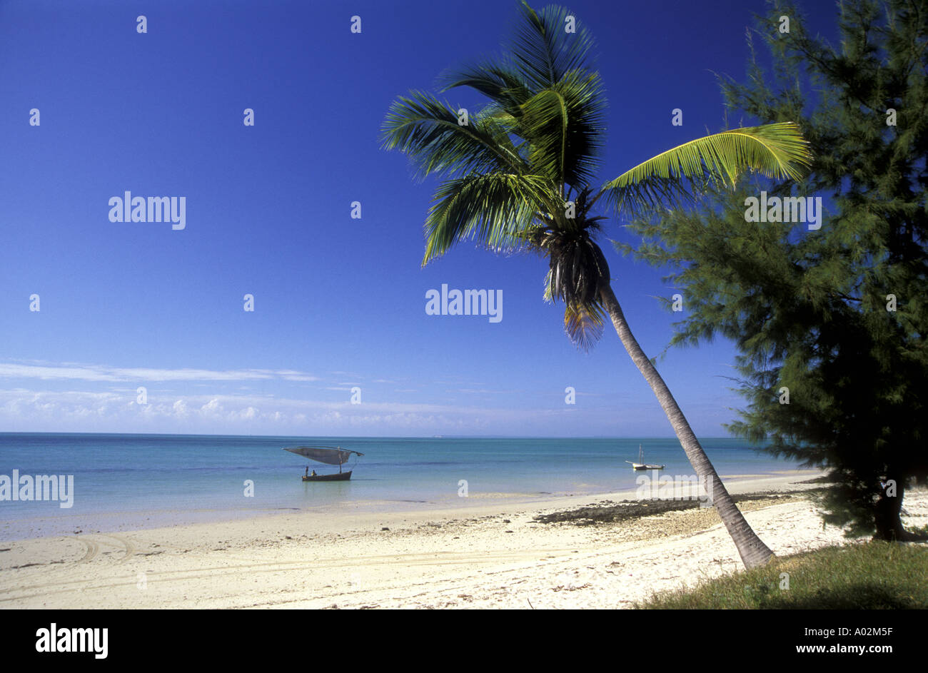 Beautiful unspoilt beach with small fisherman s sailing boat and overhanging palm trees near Vilankulo Mozambique Africa Stock Photo