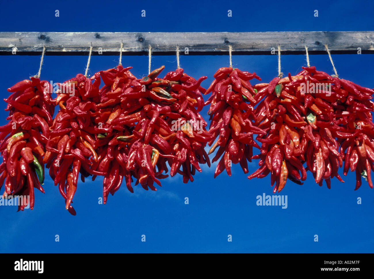 Dried new mexico peppers hanging hi-res stock photography and images ...