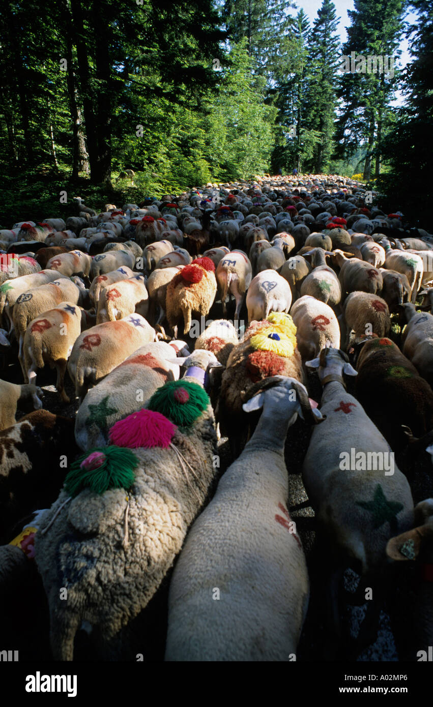 Esperou village hires stock photography and images Alamy