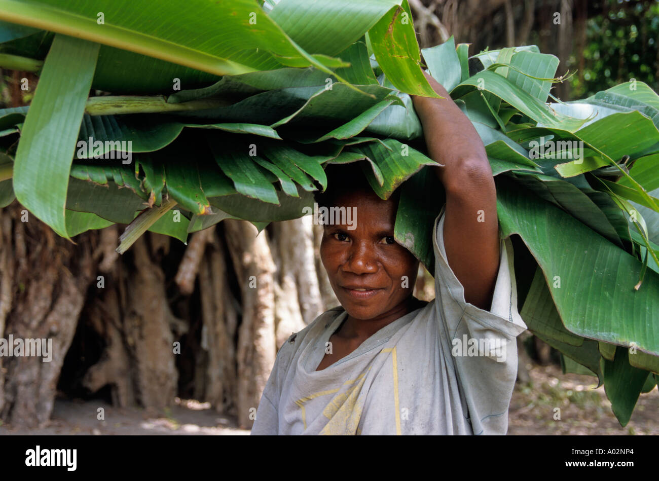 Vanuatu - Woman holding banana tree leaves on her head, Sulphur Bay village, Tanna, Vanuatu. Stock Photo