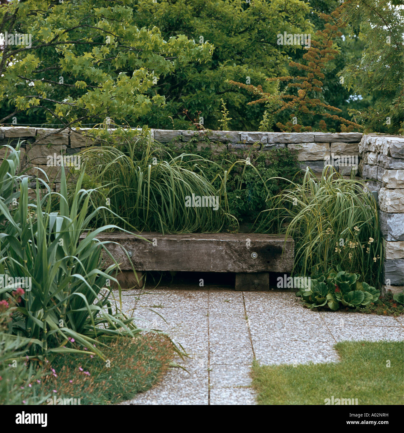 Bench On Paving On Stone Walled Patio With Architectural Plants