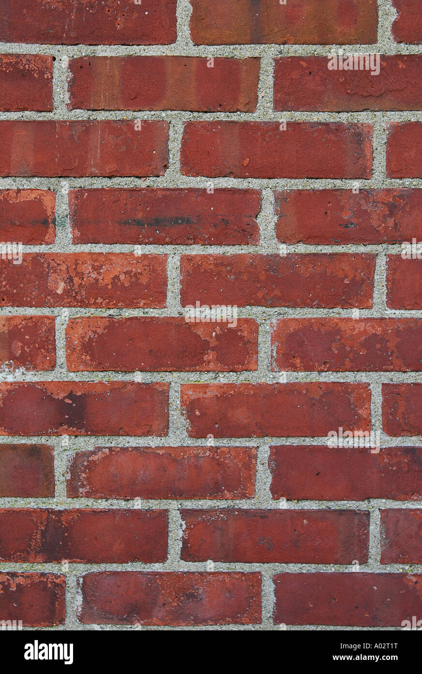 Brick wall: Với tấm hình này, bạn sẽ có những trải nghiệm thú vị trong việc tìm hiểu về các sự đa dạng trong kiến trúc nhà cửa và công trình xây dựng. Bạn sẽ được chiêm ngưỡng tường gạch với những hình ảnh ấn tượng, mang đến cho bạn một trải nghiệm khó quên.